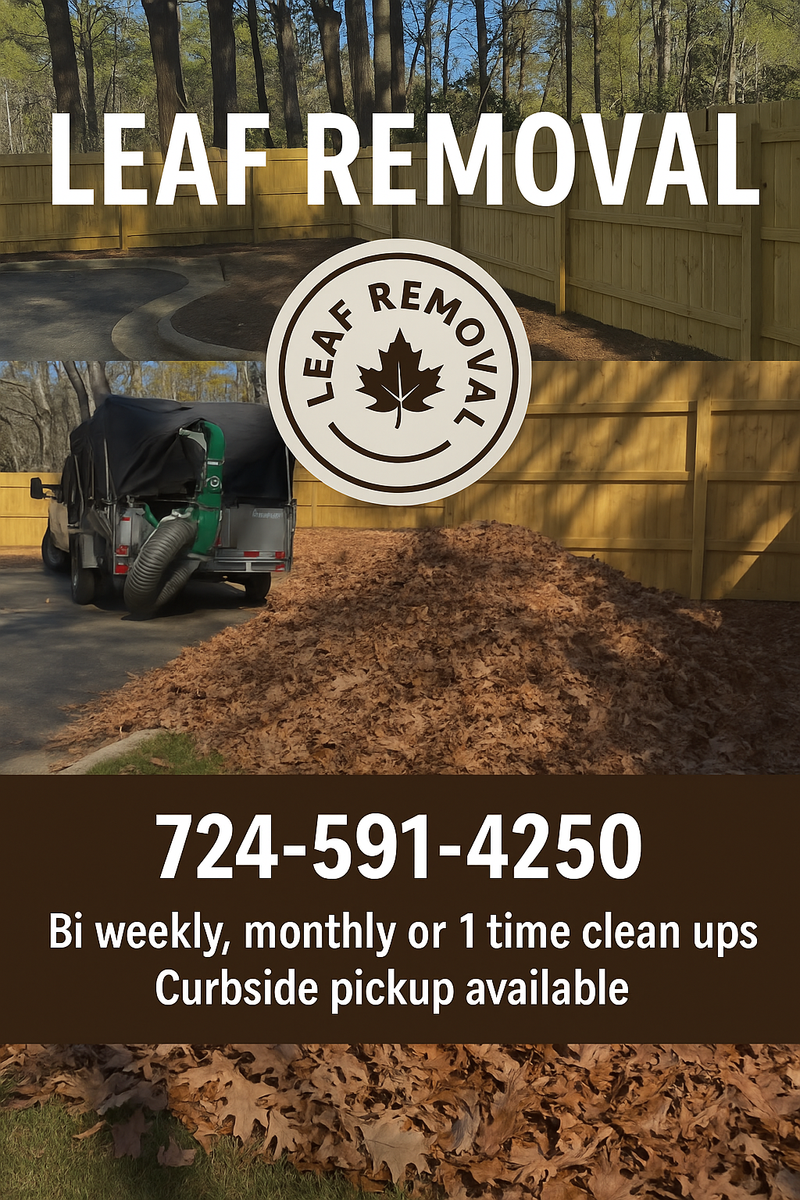 Leaf Removal & Cleanup for Dirt Pro Land Solutions in Fayetteville, GA