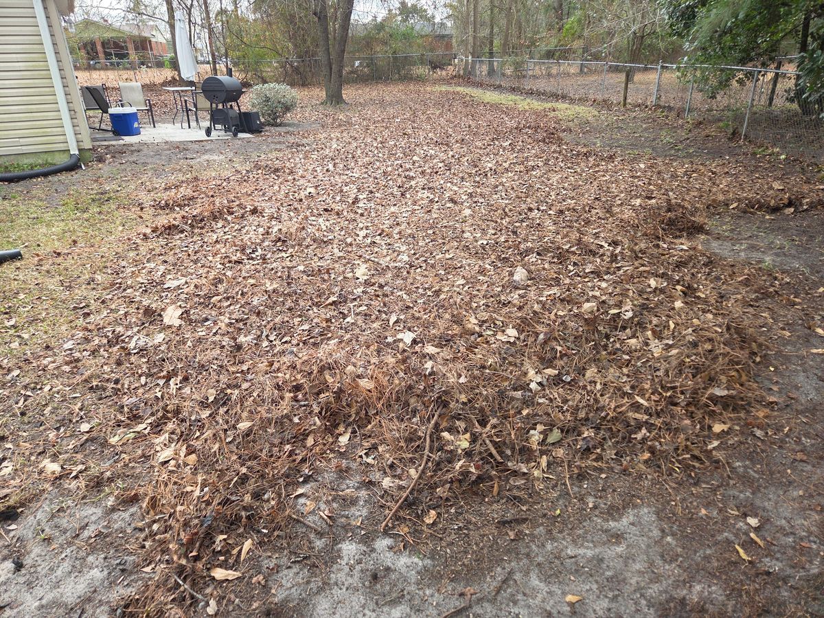 Leaf removal for Just Mow and Go Lawn Service, LLC in New Bern, NC