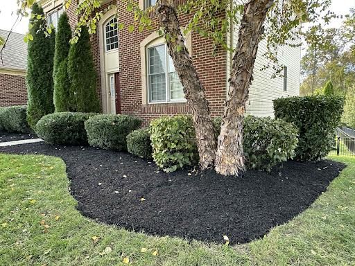 Shrub Trimming for A Better Lawn Service LLC in Bel Air, MD