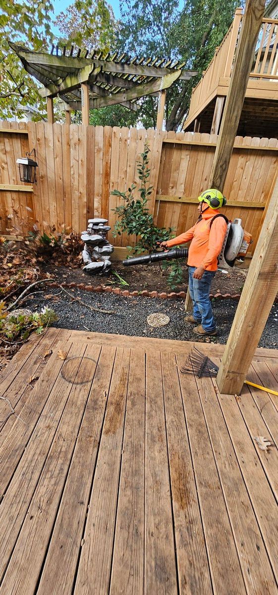Shrub Trimming for Servin's Tree Care  in Houston, TX