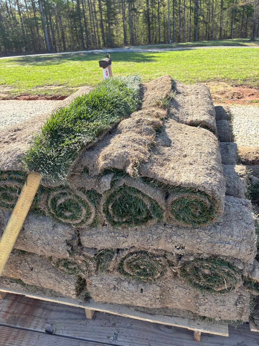 Sod Installation for Taylormade Lawn Management in Clarkesville, GA