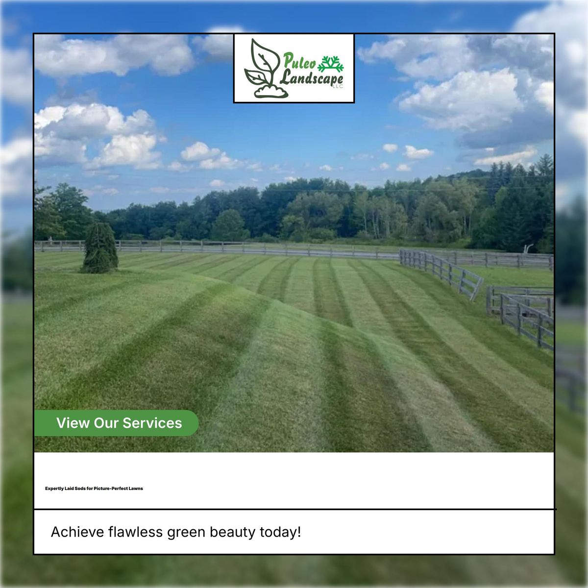 Weekly Lawn Care for Puleo Landscape LLC in Canastota , NY