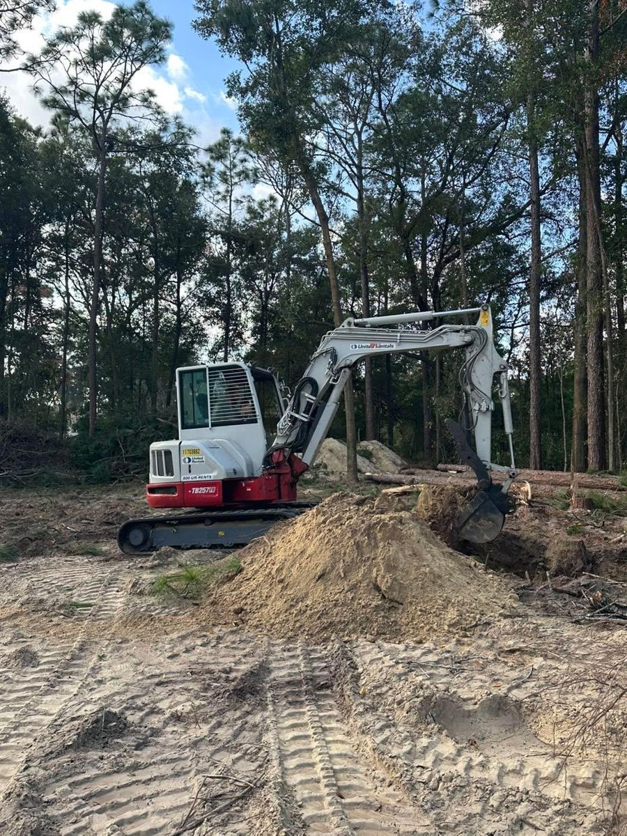 Spring and Fall Clean Up for K & A Landscaping, Inc. in Jacksonville, FL