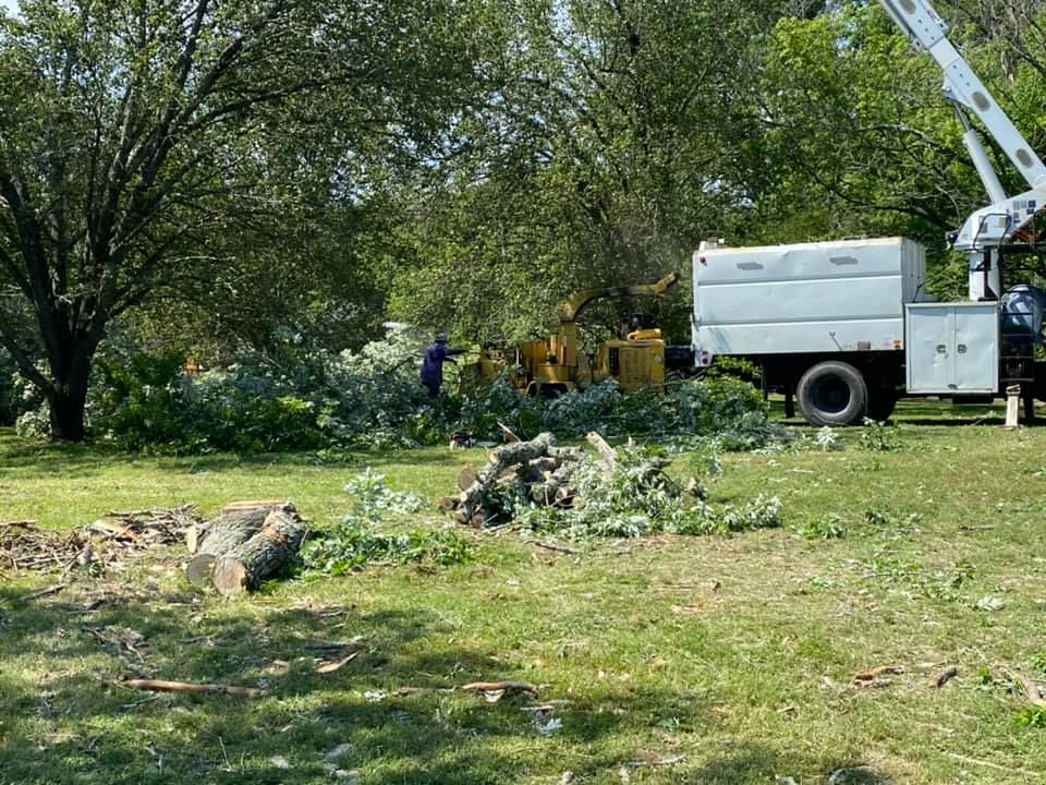 Tree Pruning for JayBird Tree Service  in Goodlettsville, TN