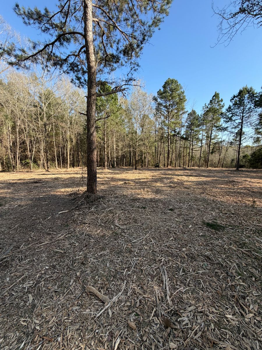 Forestry Mulching for 903 Mulching in East Mountain, TX