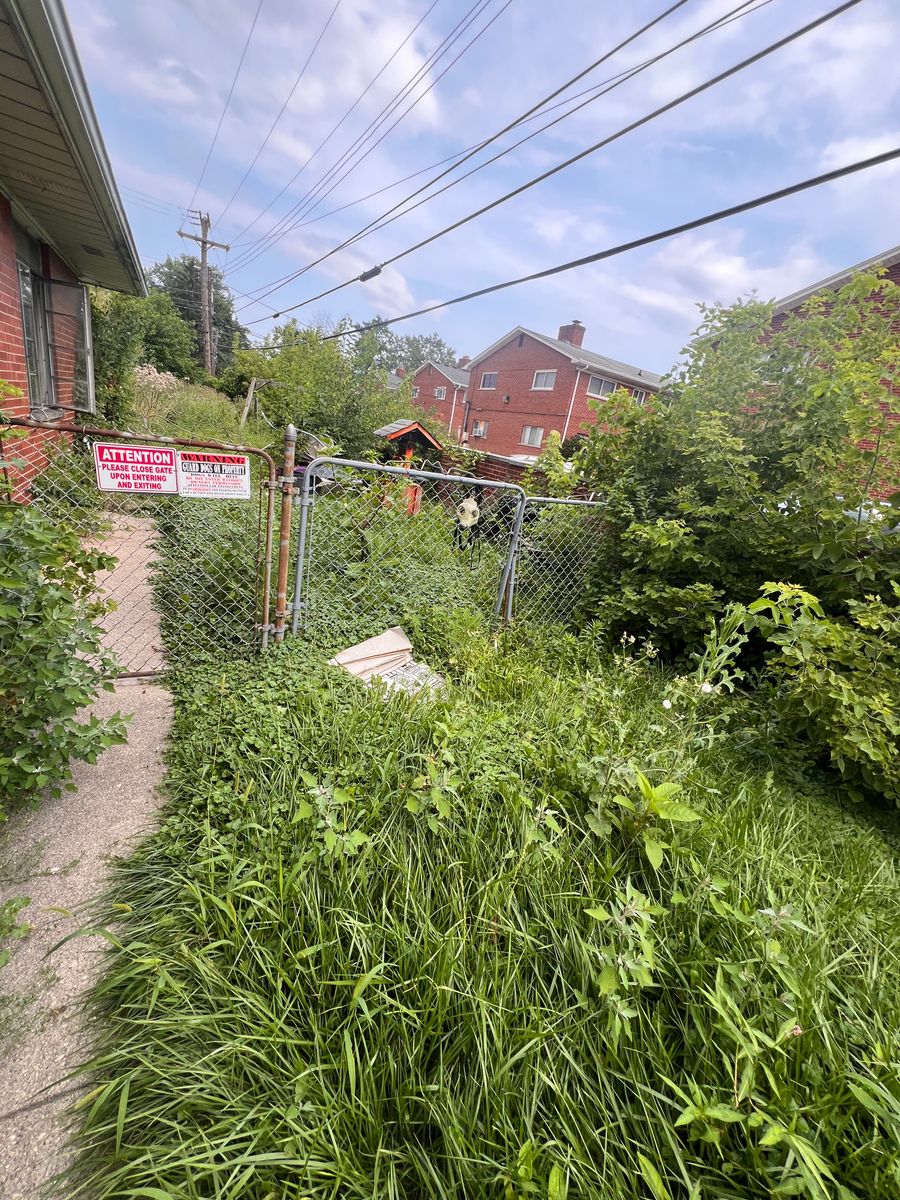 Land clearing for Alltimate Outdoor Services in Warren, MI