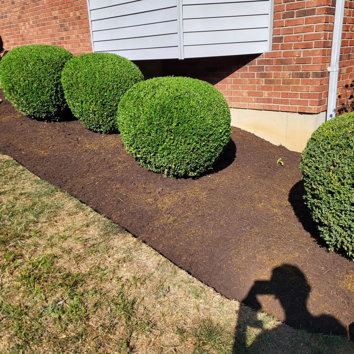 Shrub Trimming for Ryt's Landscaping LLC in Cincinnati, OH