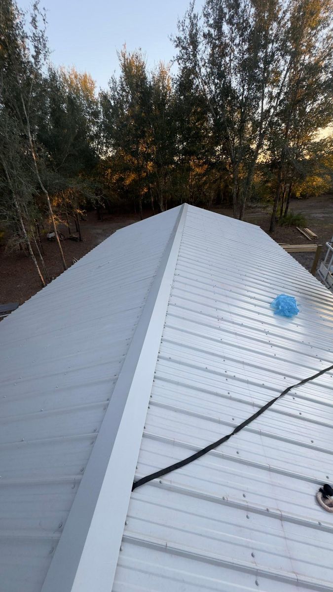 Metal Roofing for Joel's Local Handyman Services in Clermont, FL