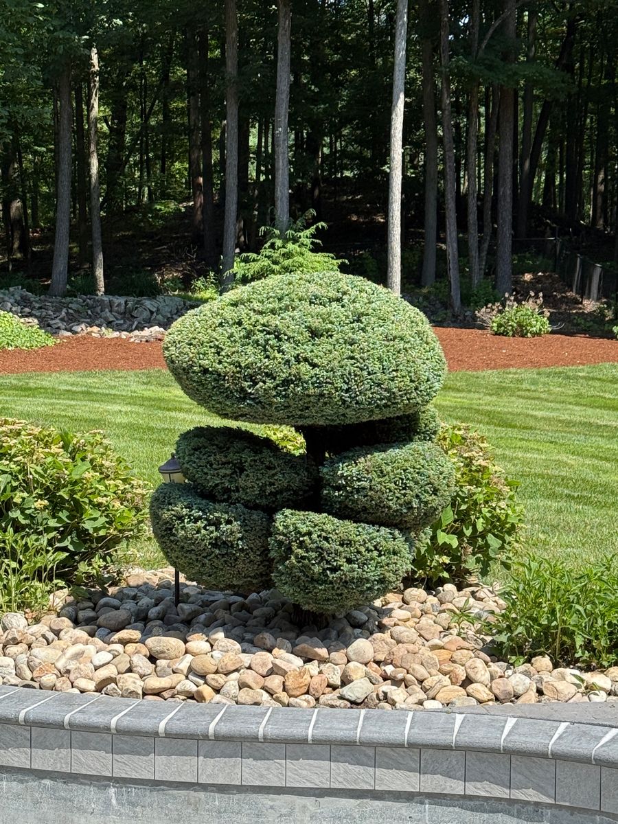 Shrub Trimming for Blades of Glory LLC in Cheshire, CT