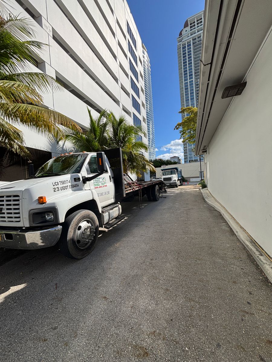 Concrete & Structural Removal for Regional Land Construction in Miami, FL