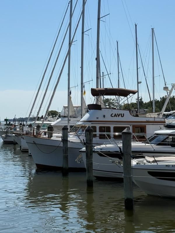 Pre-purchase engine inspections for Turner Mobile Marine in Stevensville, MD