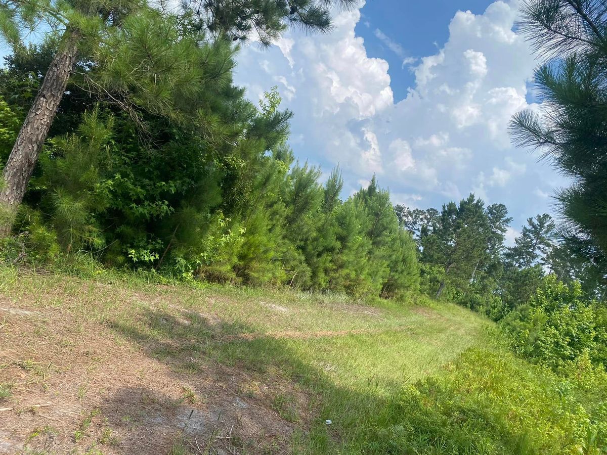 Land Clearing for Golden Isles Greenery in Brunswick, GA