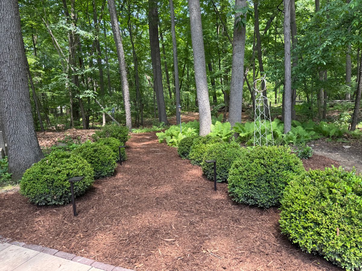 Flower Bed Installation for Hammond Landscape in Okemos, MI