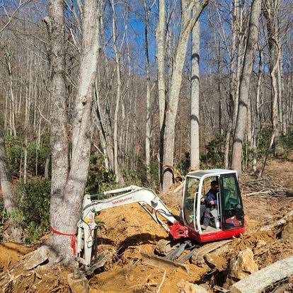 Tree Removal for Lopez Landscaping and Tree Service  in Waynesville, NC