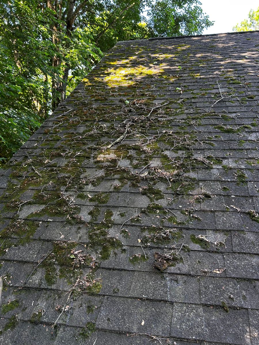 Roof Cleaning for Buckeye Roof Rejuvenate in Columbus, Ohio