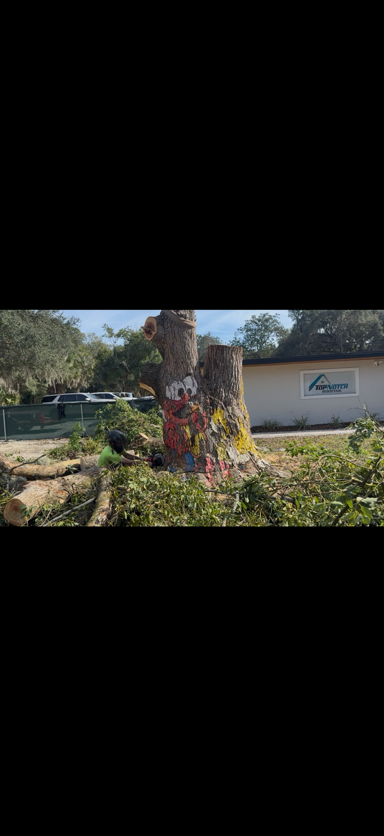 Land Clearing for Amerigrown Tree And Lawn in Apopka, FL