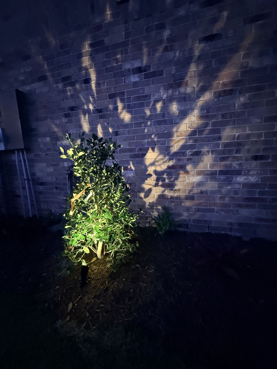 Landscape Lighting for Full Armor Landscapes in League City, TX