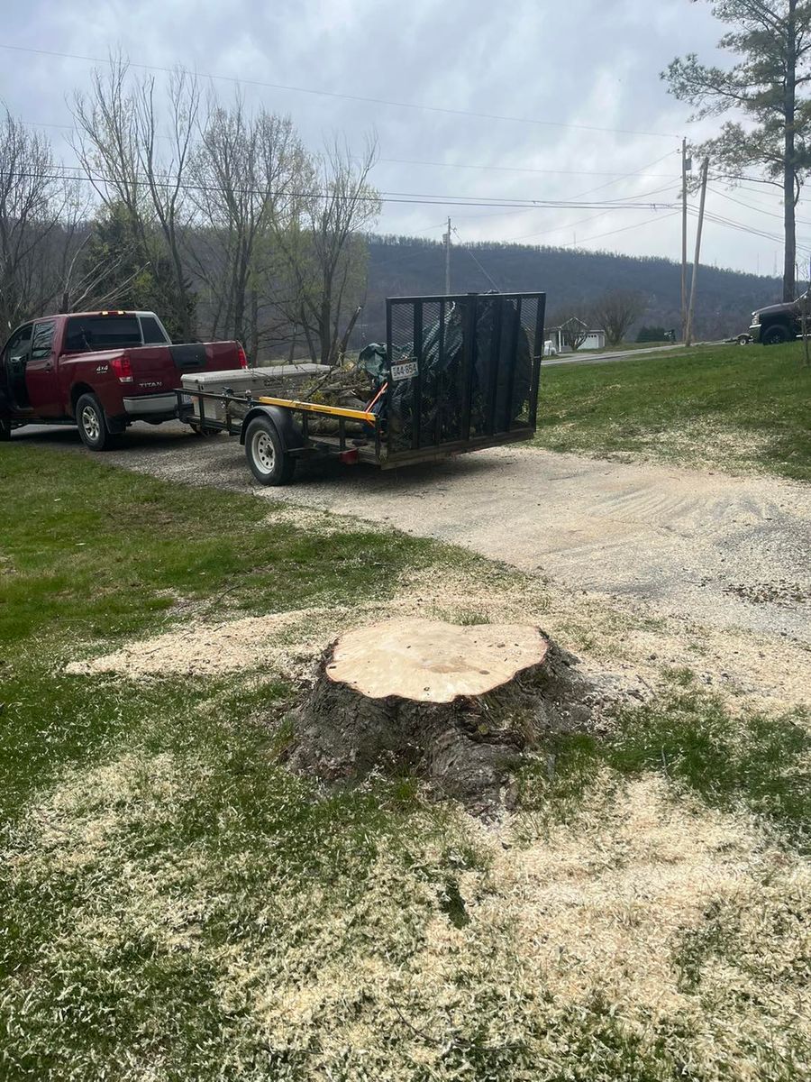 Stump Removal for Scott’s Tree Service, LLC in Winchester, VA