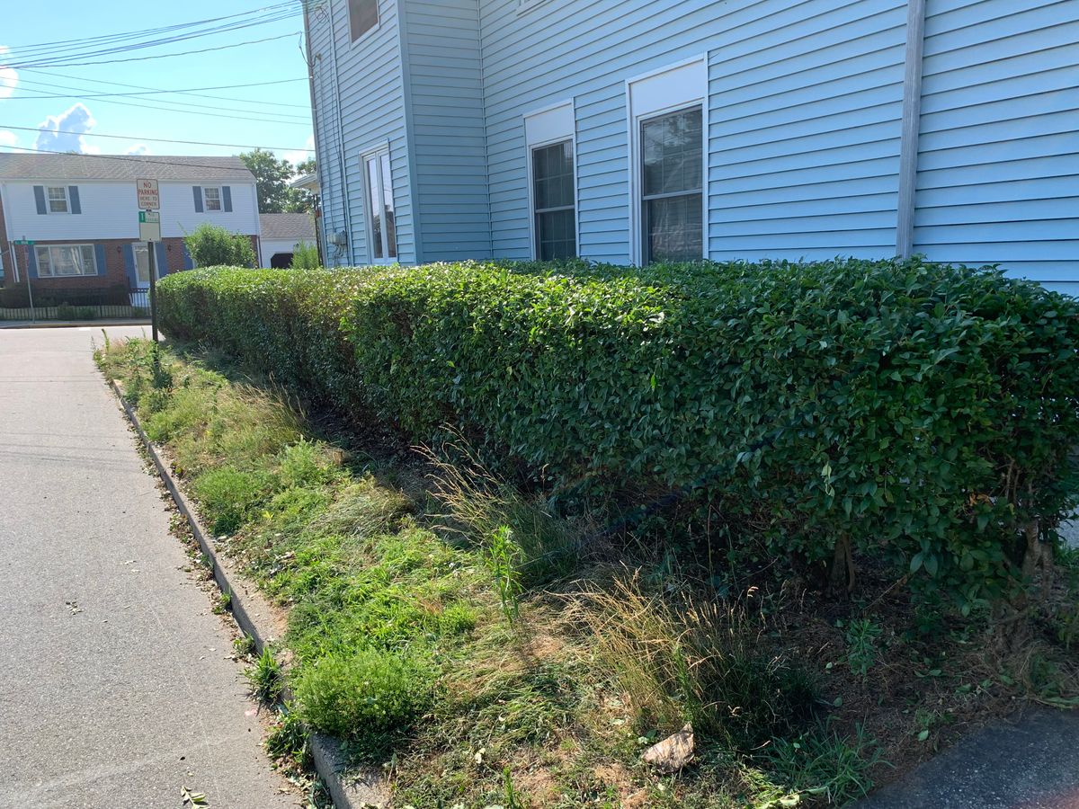 Hedge Trimming for Murray Mowing and More in Ashaway, RI
