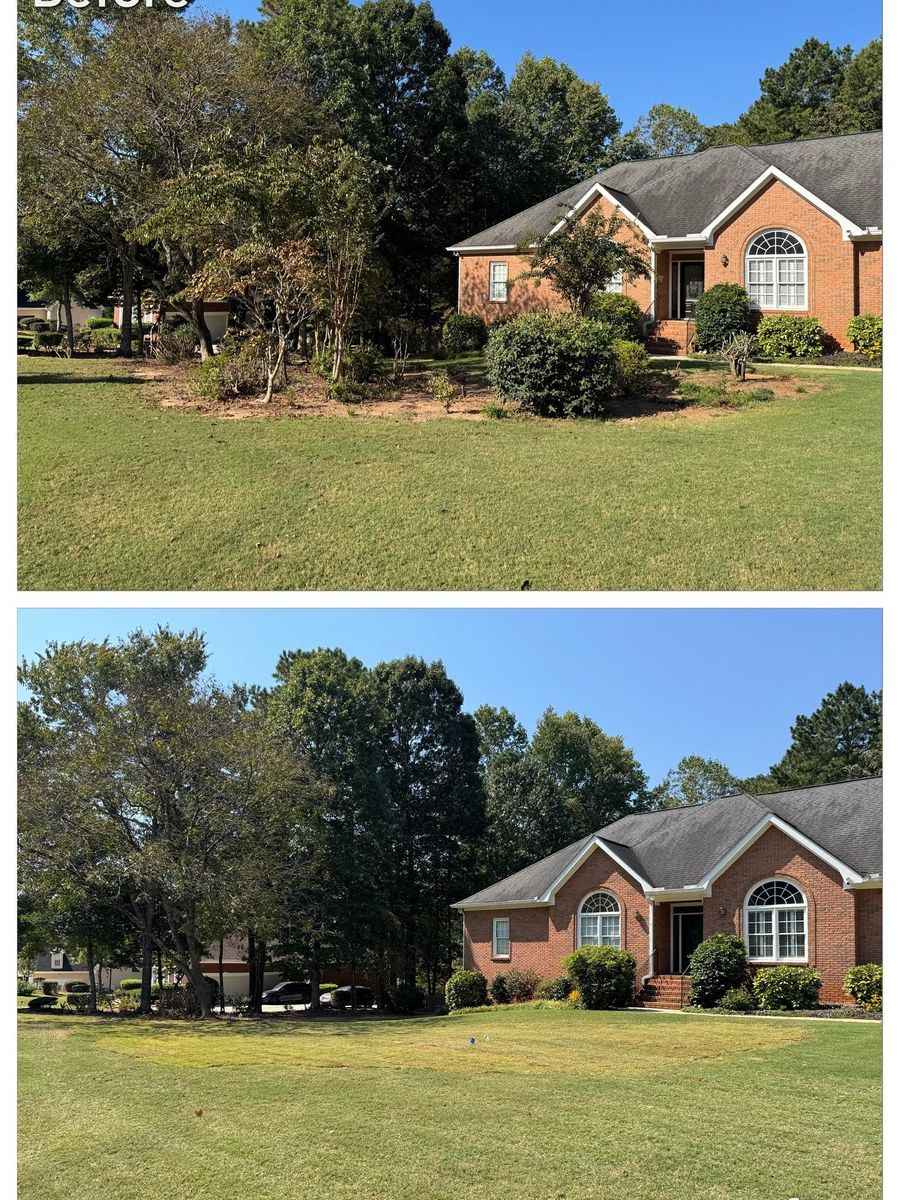 Brush Cutting and Removal for Fayette Property Solutions in Fayetteville, GA