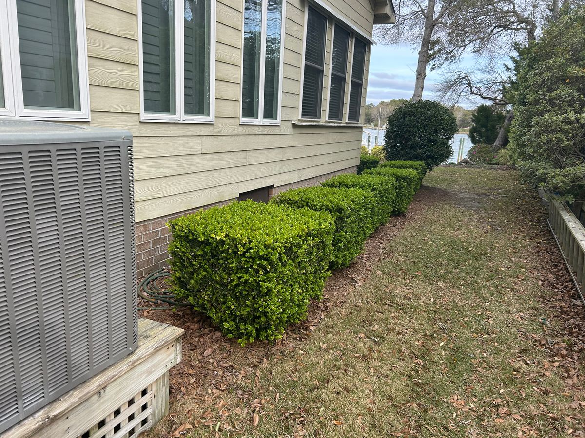 Shrub trimming for Top Notch Landscape in Sneads Ferry, NC