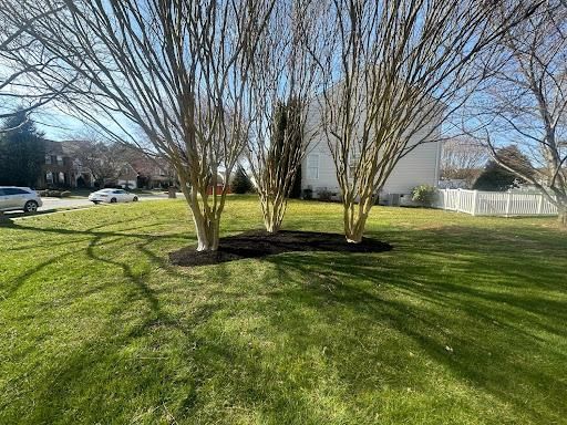 Shrub Trimming for A Better Lawn Service LLC in Bel Air, MD