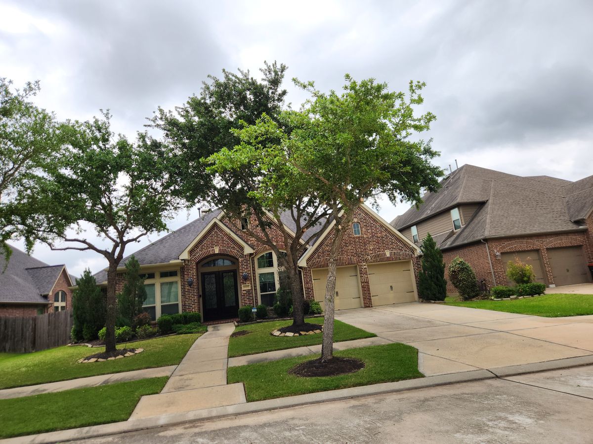 Tree trimming/cutting for Right Choice Landscaping LLC in Houston, TX