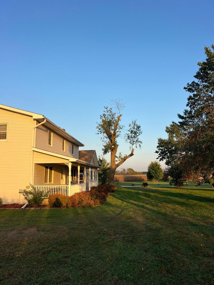 Property Clean Up for Baker Professional Services LLC in Shelbina, MO