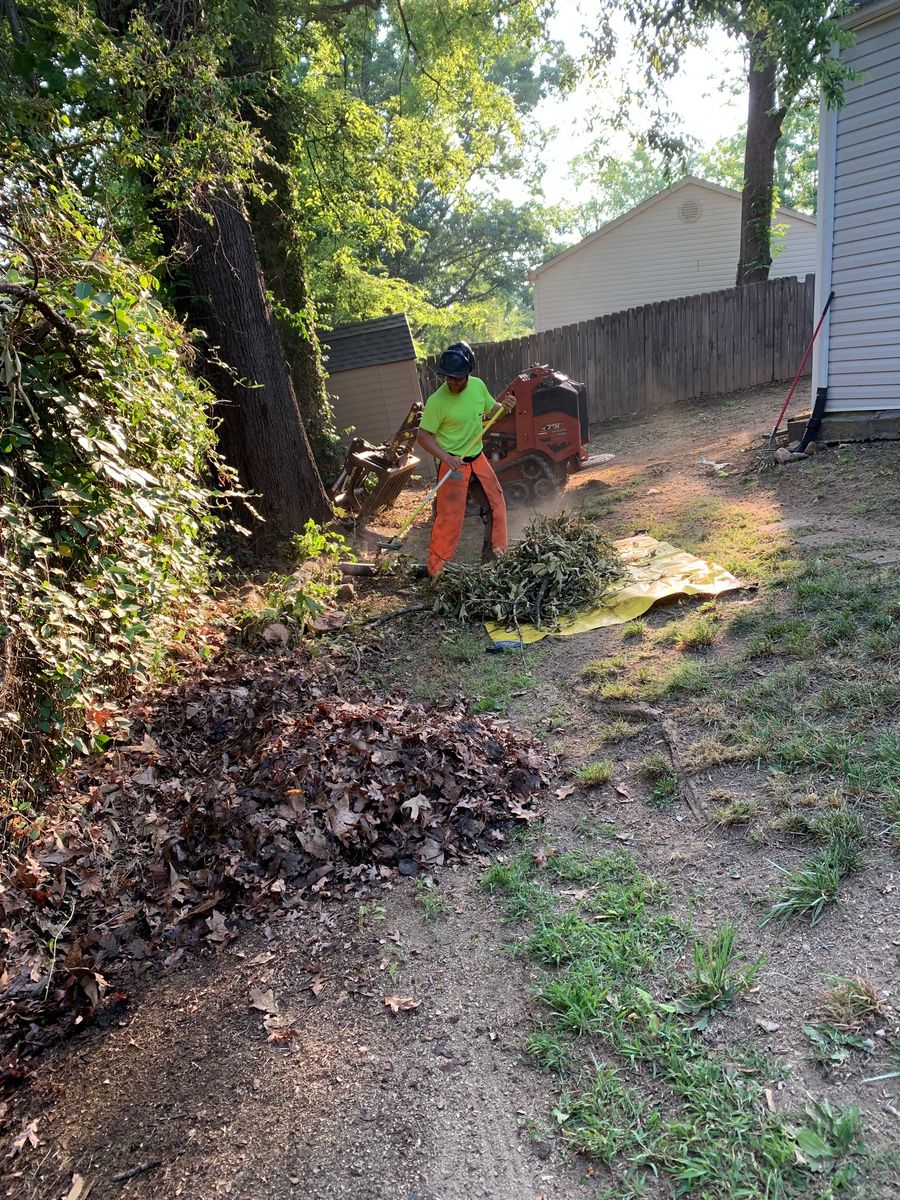 Fall Clean Up for Settle Tree Services in Knoxville, TN