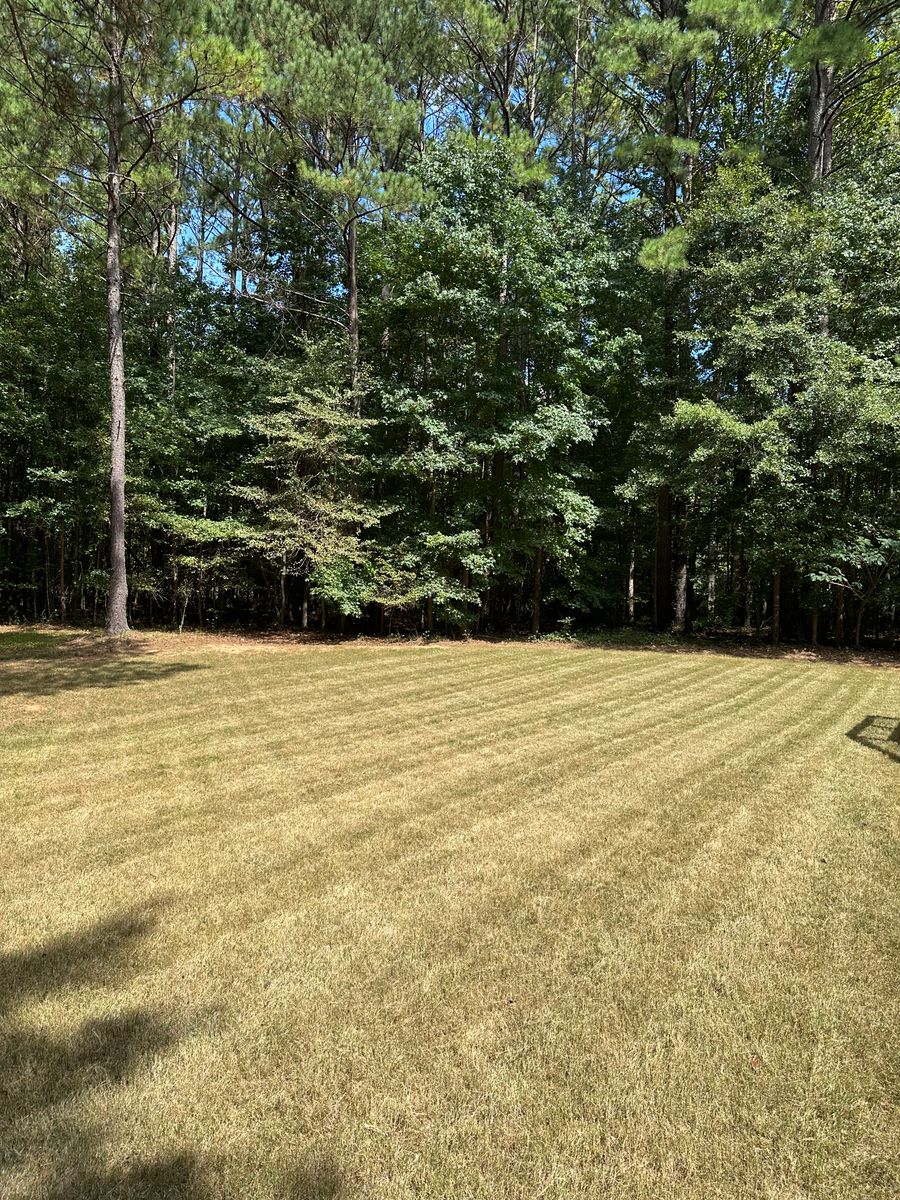 Sod Install for Hedgecraft Landscaping LLC in Senoia, GA