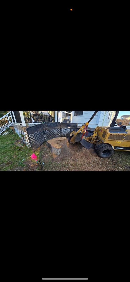 Stump Removal for Hawkins Tree Service & Land Management in Richmond Hill, GA