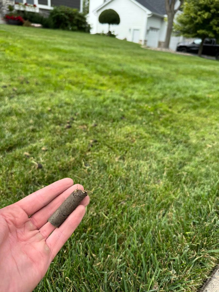 Lawn Aeration for Bubba’s Seasonal Services in Buffalo, MN