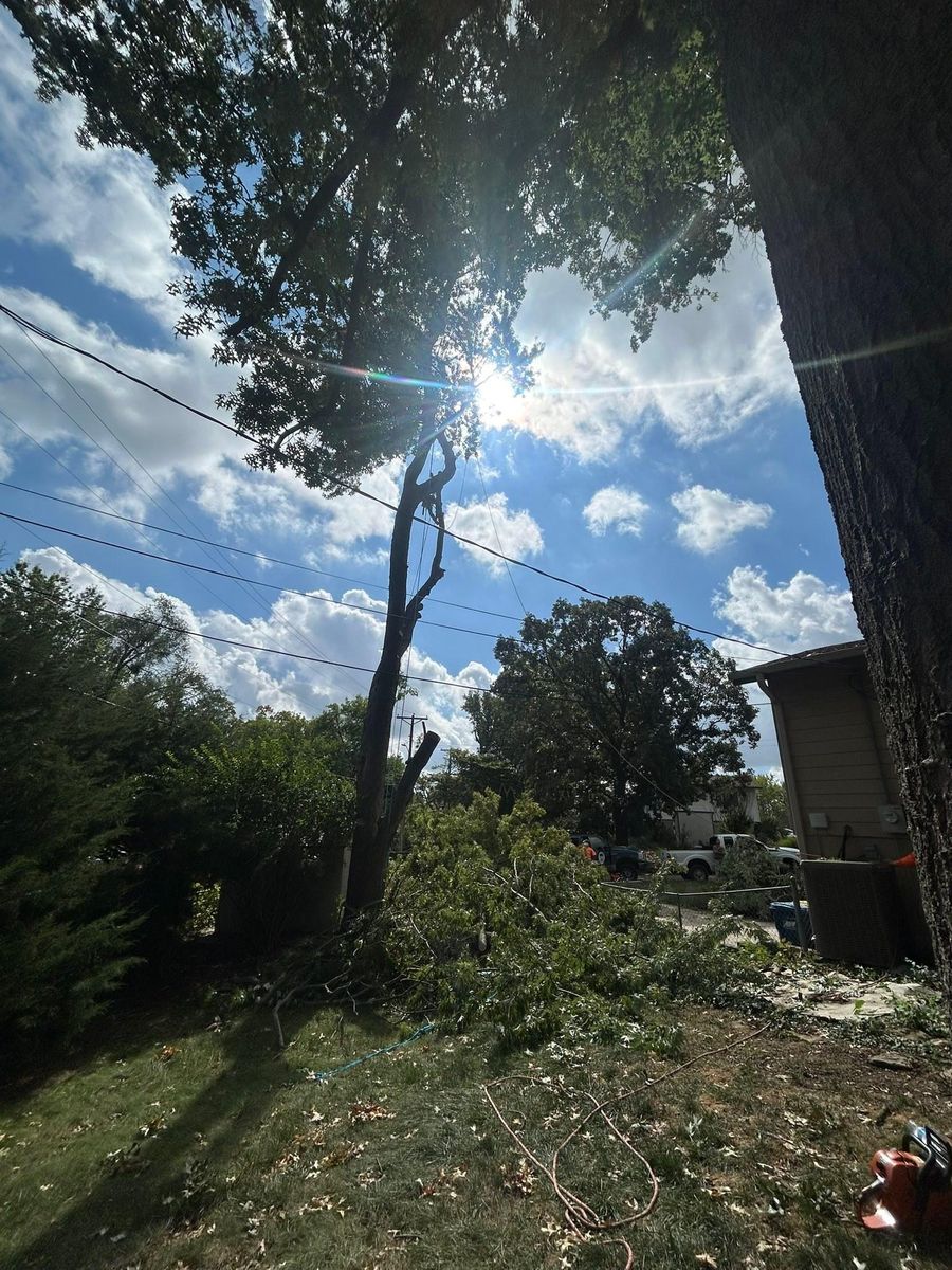 Tree Trimming for Cross Family Tree Service in Kearney, MO