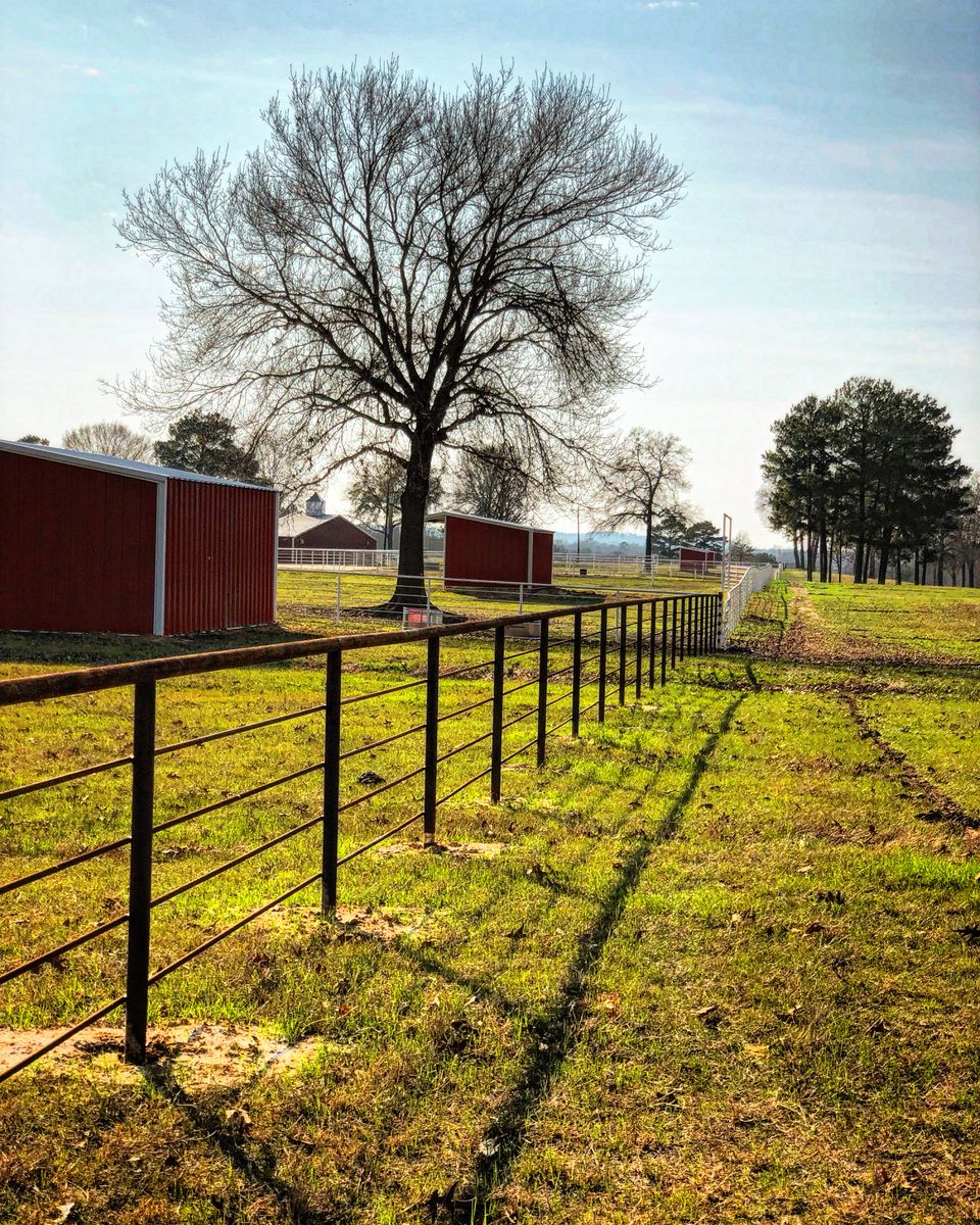 Pipe Fencing for Deans Welding ClayCee Kjeldgaard in Malakoff, TX