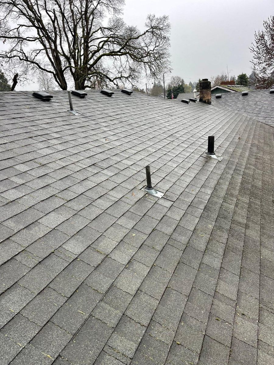 Moss Removal for Pressure Perfect in Salem, OR