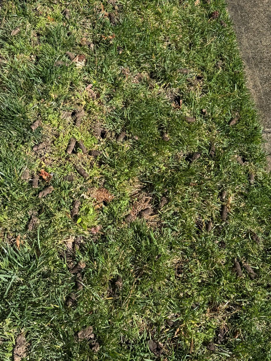 Lawn Aeration for Chavez Landscaping in Pittsboro, NC