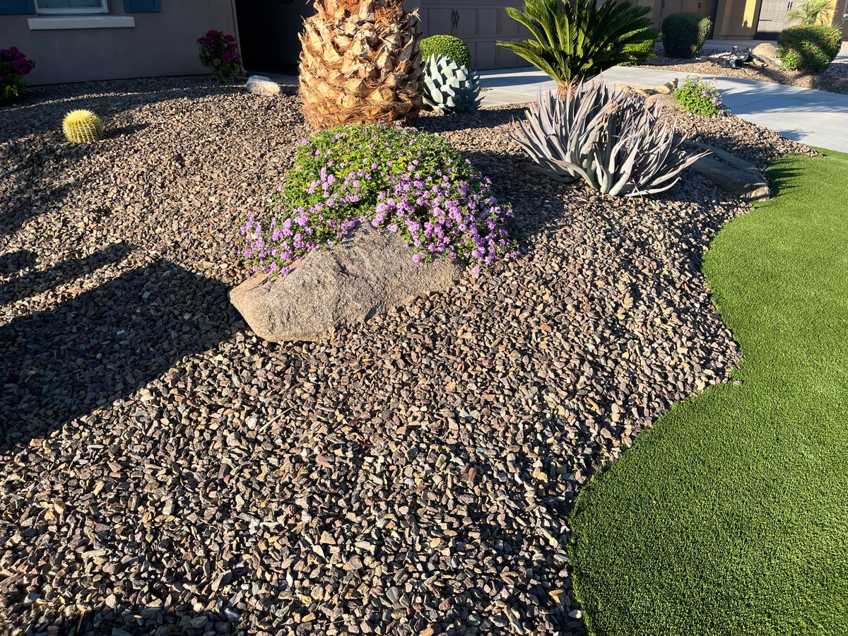 Residential Landscaping for Grand Canyon State Landscape Inc. in Surprise, AZ