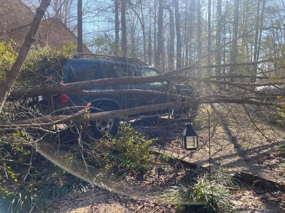 24 Storm damage for Branch Out Tree Care LLC in Fredericksburg, VA