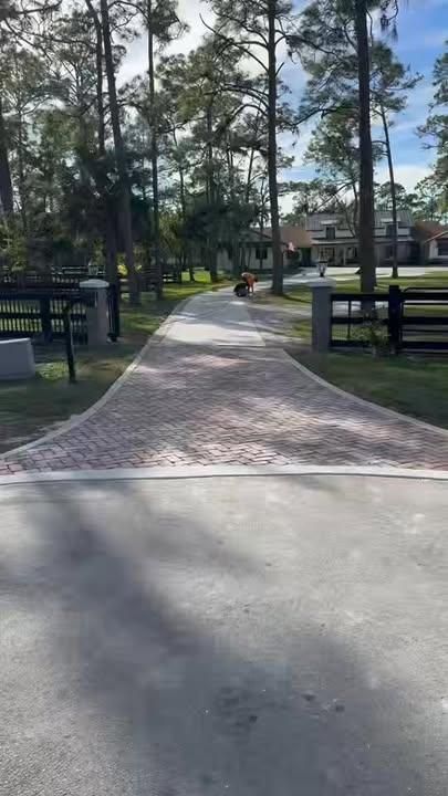 Fencing for Florida Native Equestrian Development in Central Florida, FL