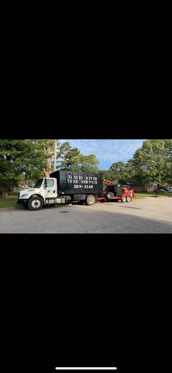 Stump Removal for James River Tree Service in Suffolk, VA