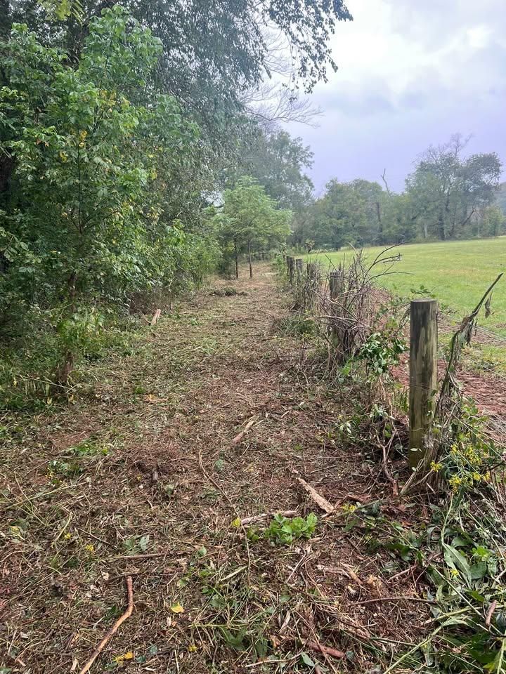 Land Clearing for Cedar Point Land Management in Richmond, VA