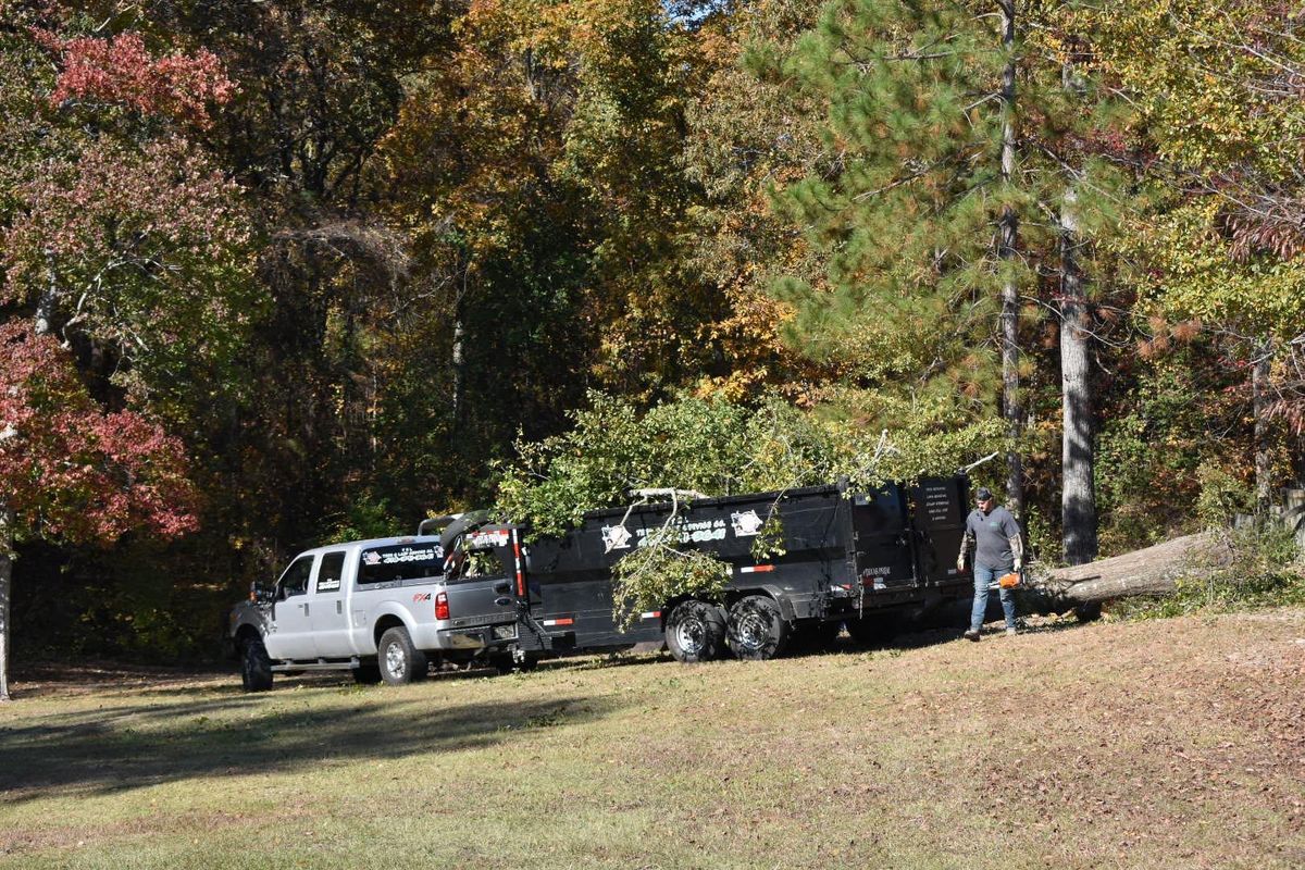 Fall Clean Up for T N L - Tree and Land Service in Reynolds, GA