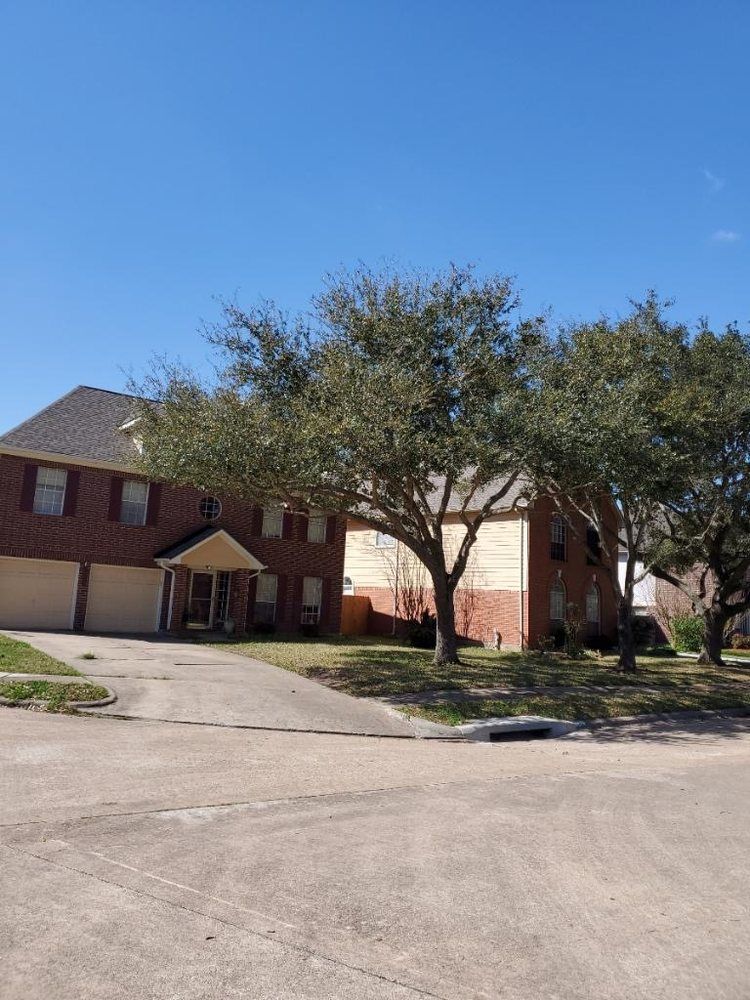 Fall Clean Up for Greenfield Tree Services in Manvel, TX