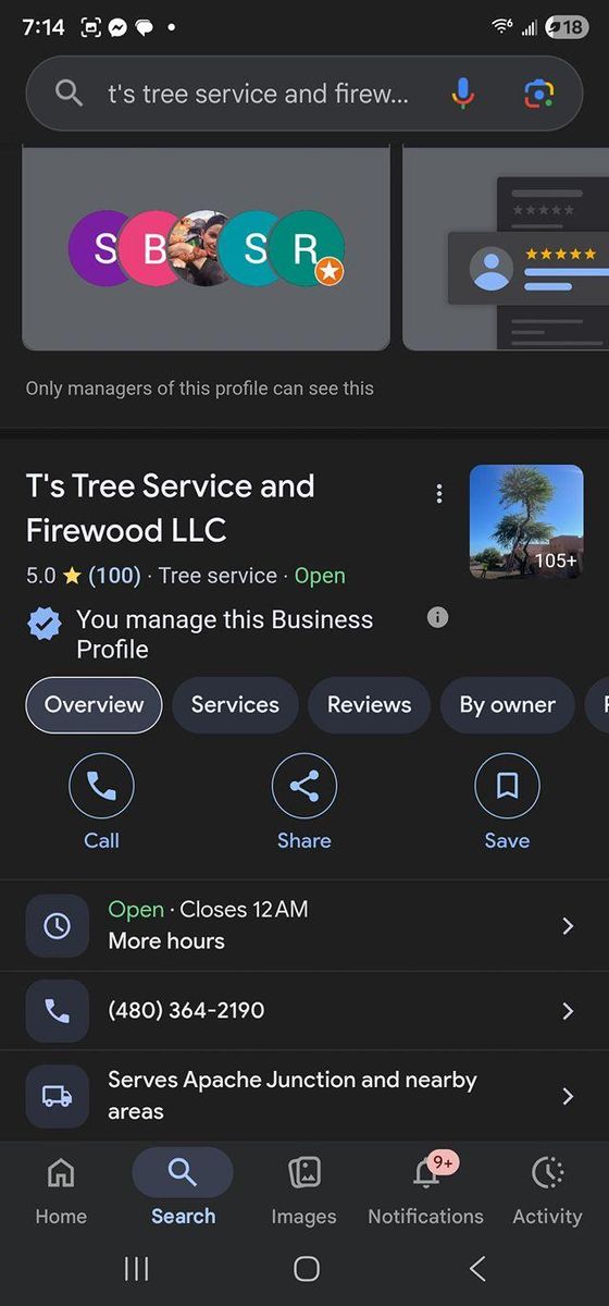 Tree Removal for T's Tree Service and Firewood in Apache Junction, AZ