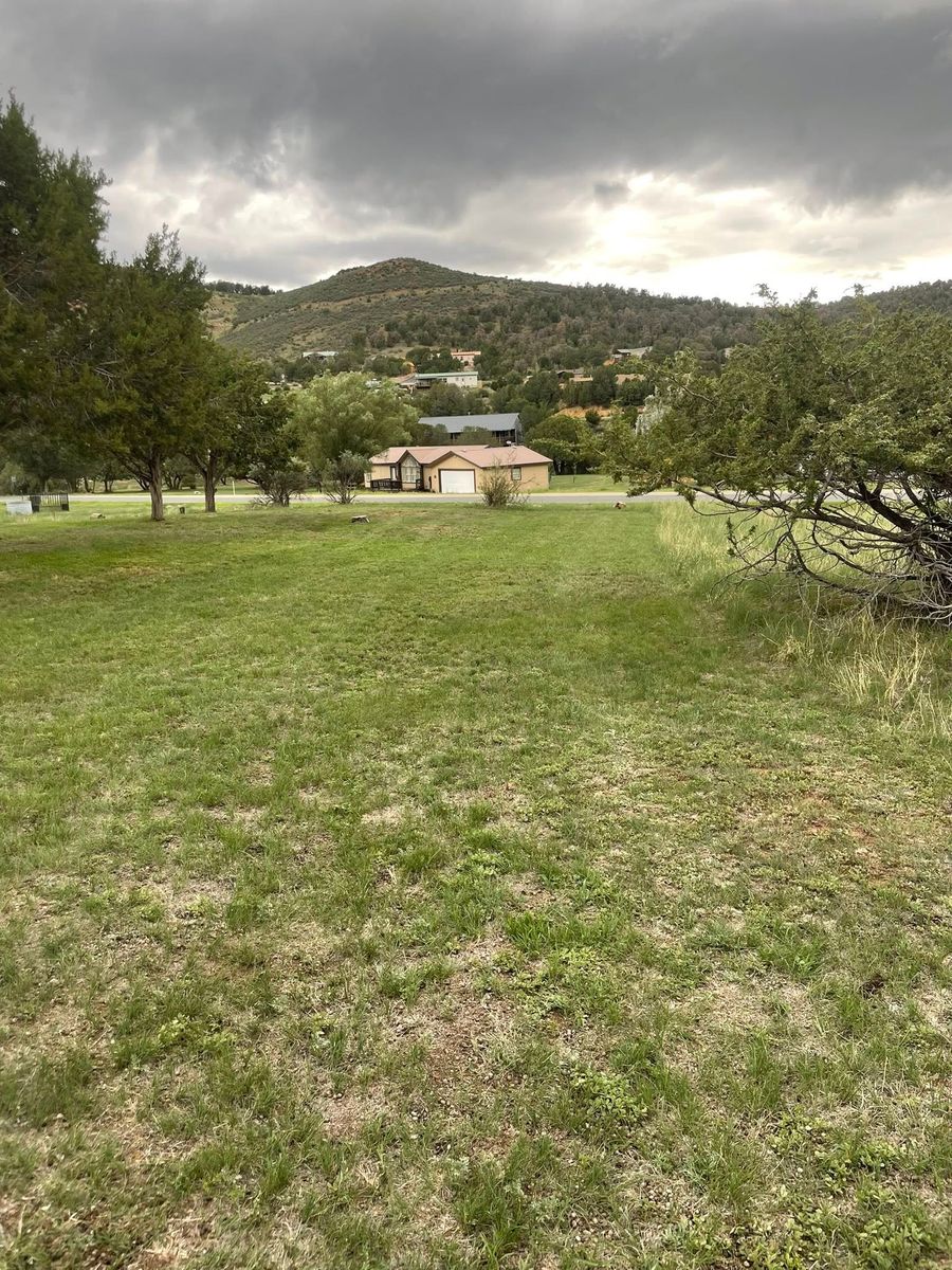 Weeding for G&B Yard Service in Ruidoso Downs, NM