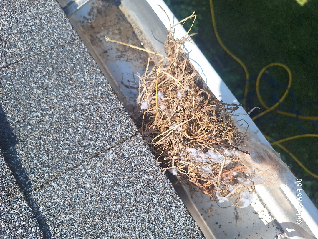 Gutter Cleaning for Soapy Suds Services in St. Charles, IL