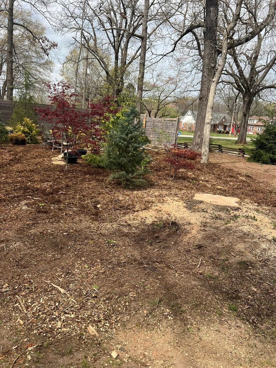 Stump Removal for Brooks Tree Service in Casar, NC