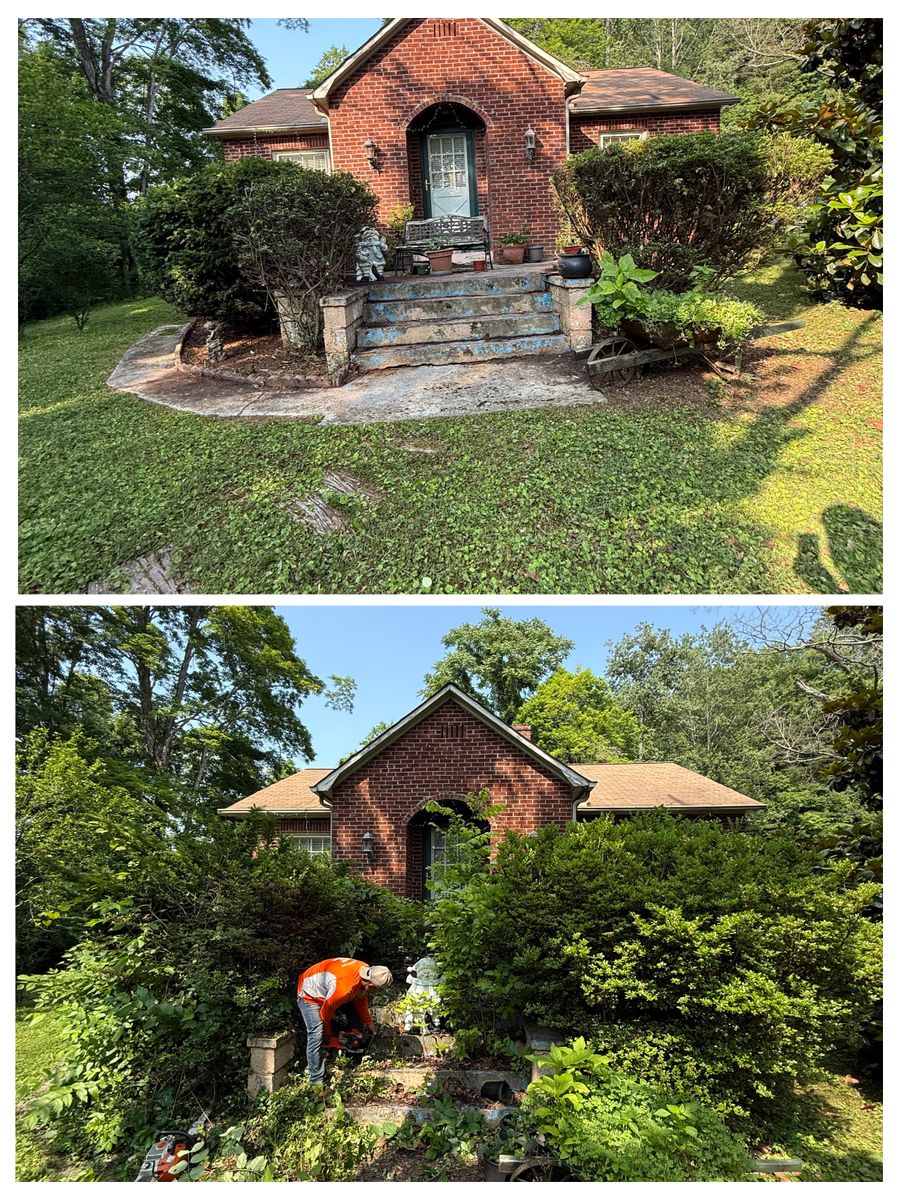 Lawn Care for Wesleys Landscaping in Clinton, TN