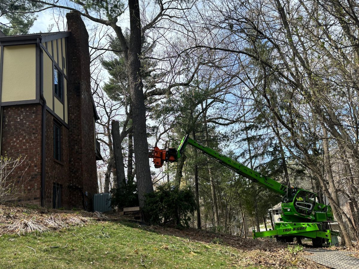 Tree Removal for Tree-B-Gone in Shawano, WI