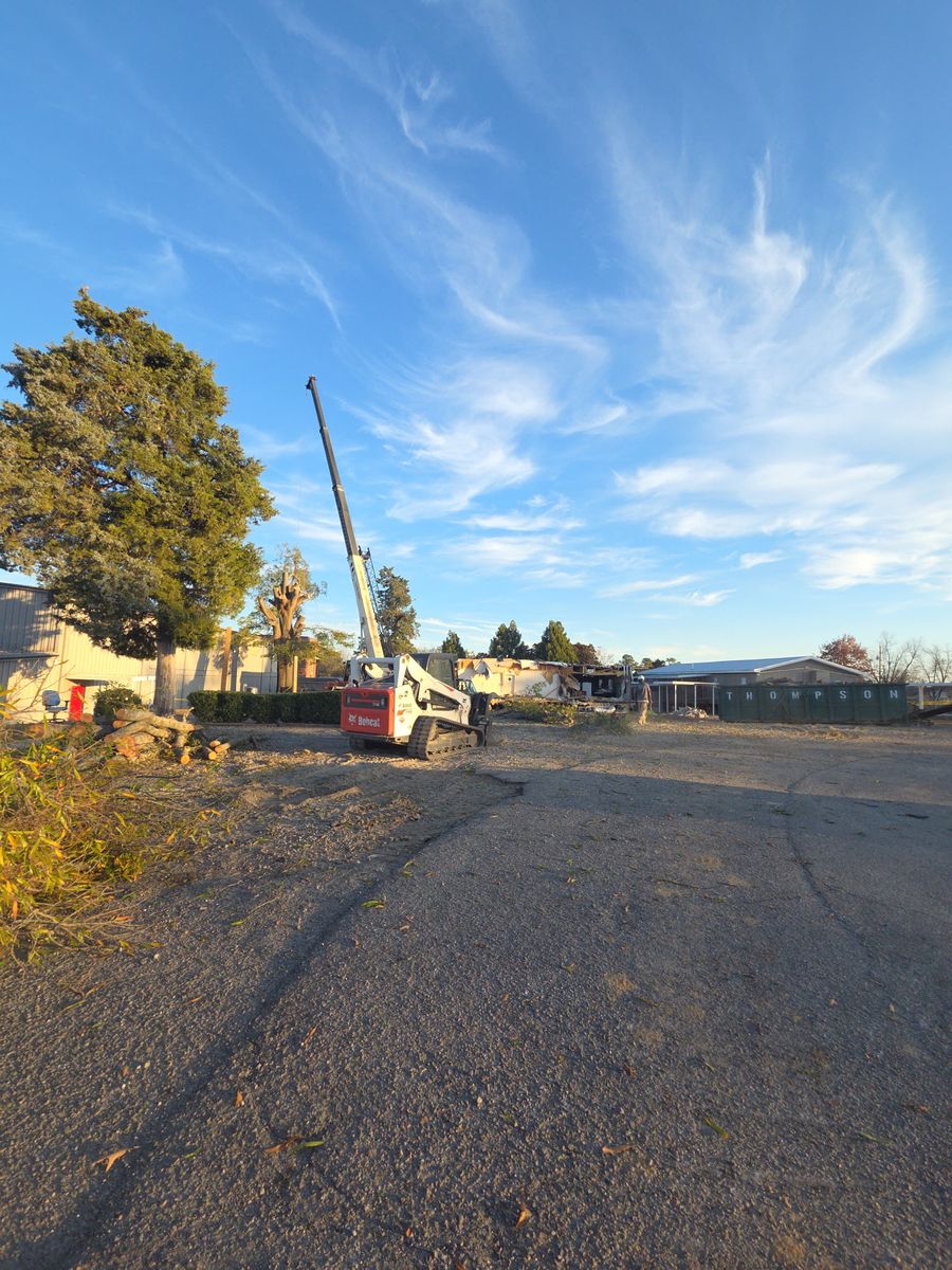Tree Removal for Trees Unlimited of the CSRA in Augusta, GA